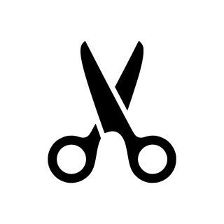 Webbing Repair Service