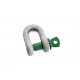 Shackle D Green Pin 2 t