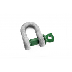 Shackle D Green Pin 2 t